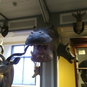 Meet your Posher, Ben